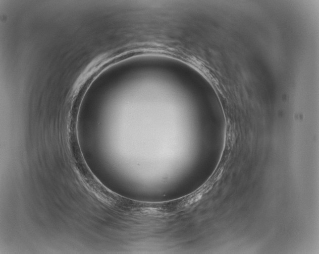 X0000085080151200703051442