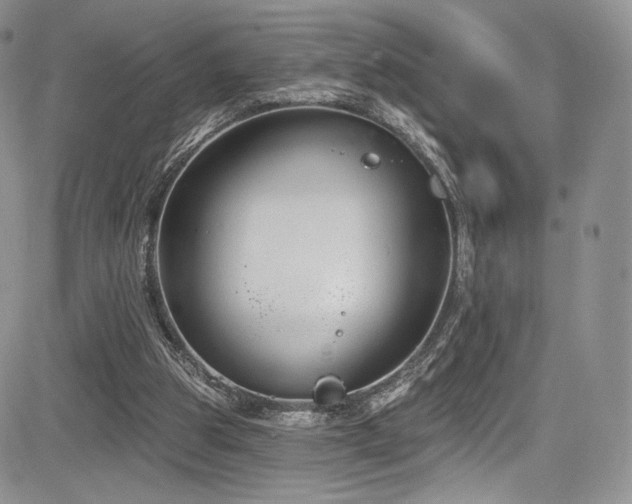 X0000085080153200703051442