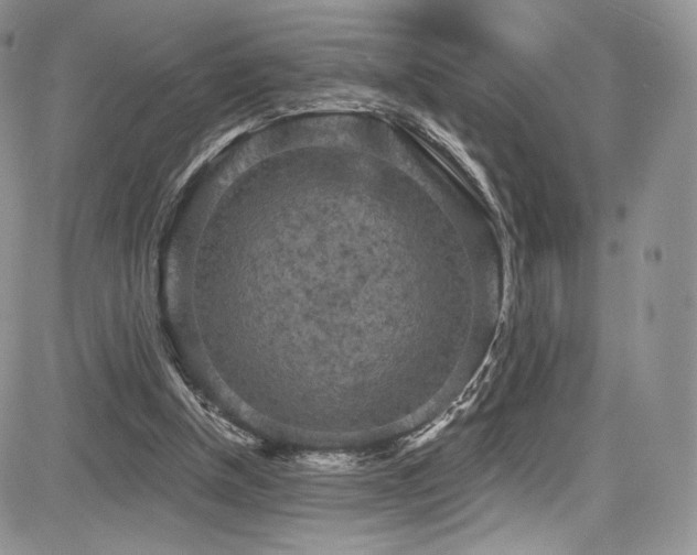 X0000085080154200703051442