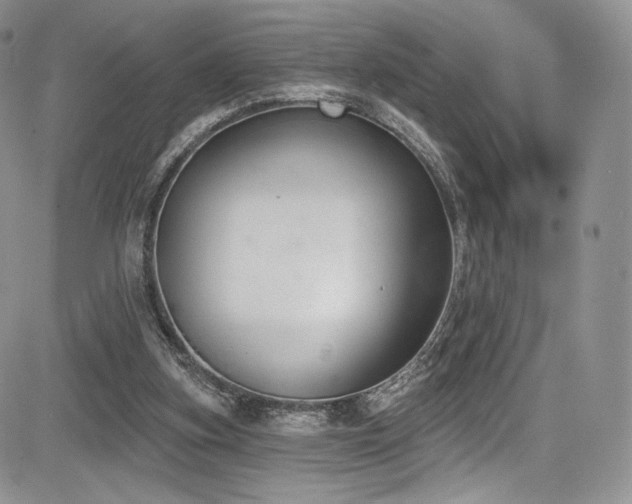 X0000085080155200703051442