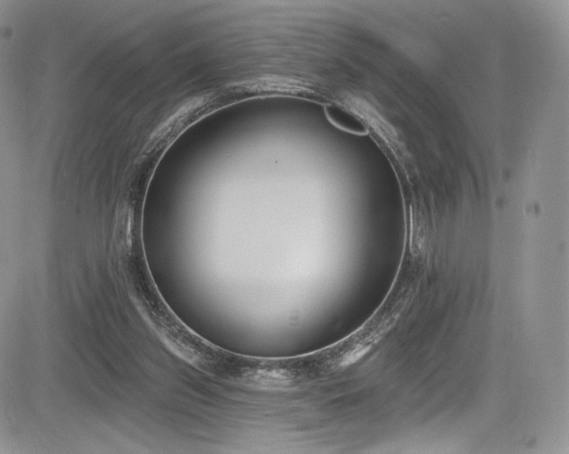 X0000085080157200703051442