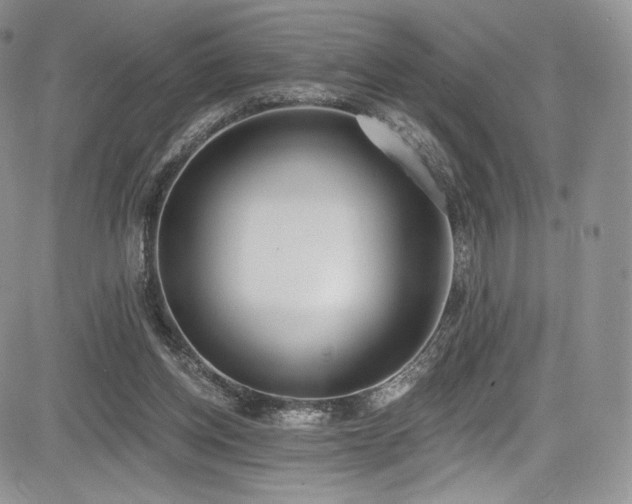 X0000085080158200703051442