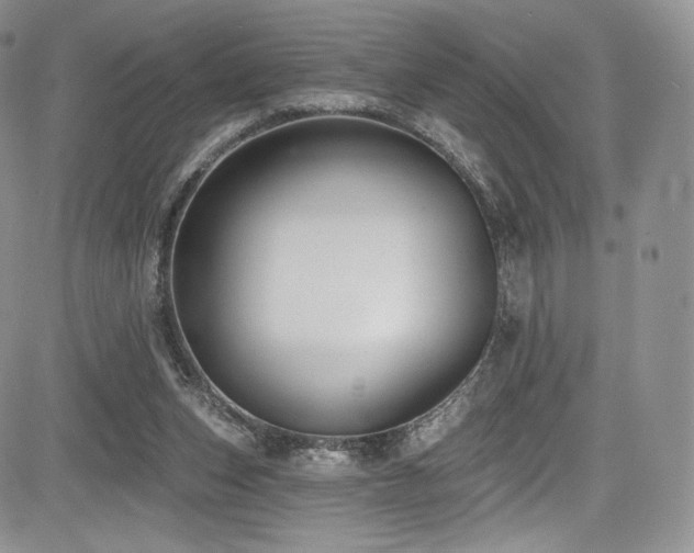 X0000085080159200703051442