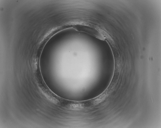 X0000085080160200703051442