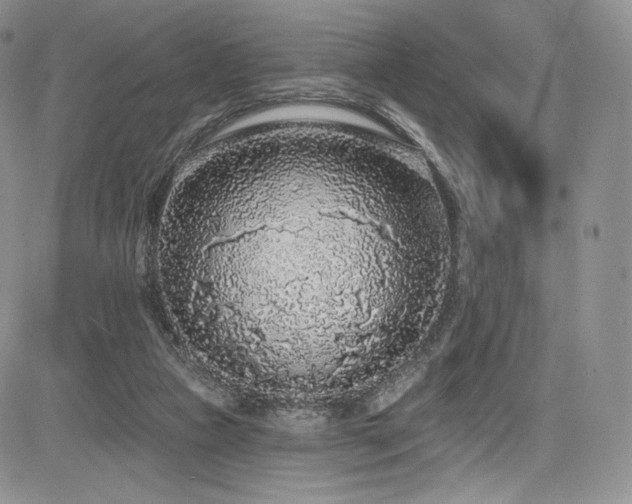 X0000085080161200703051442