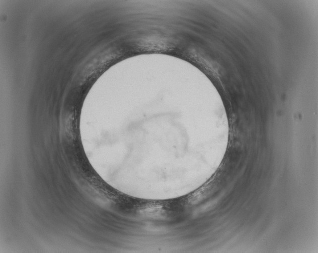 X0000085080162200703051442