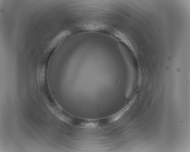 X0000085080163200703051442