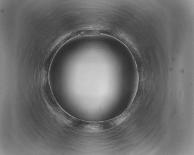 X0000085080164200703051442