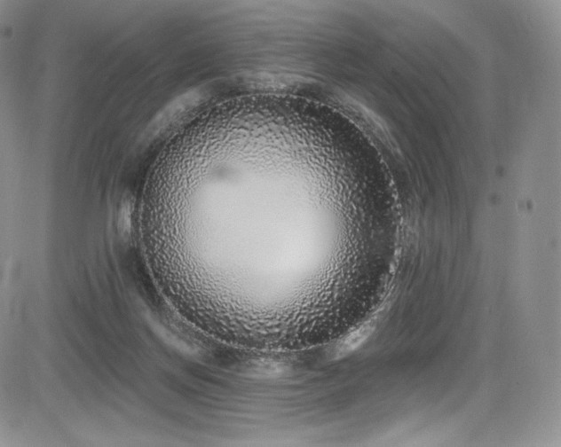 X0000085080166200703051443