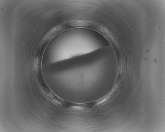 X0000085080167200703051443