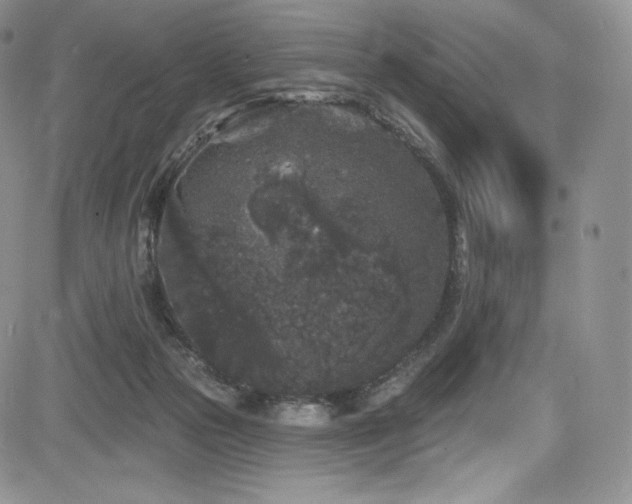 X0000085080169200703051443