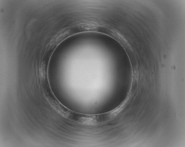 X0000085080170200703051443