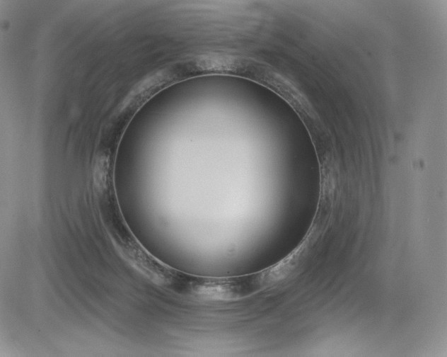 X0000085080171200703051443