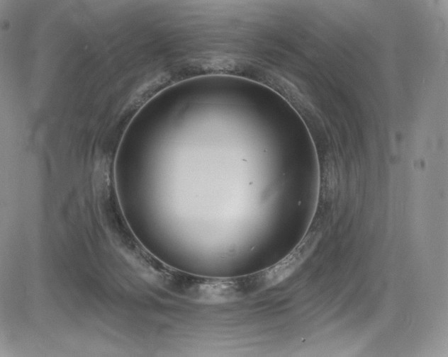 X0000085080172200703051443