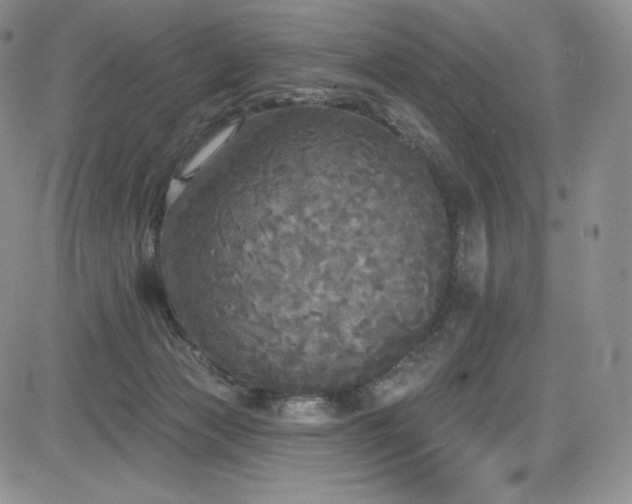 X0000085080173200703051443