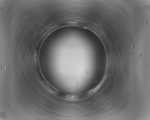 X0000085080174200703051443