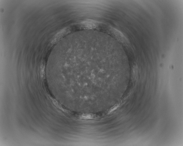 X0000085080177200703051443