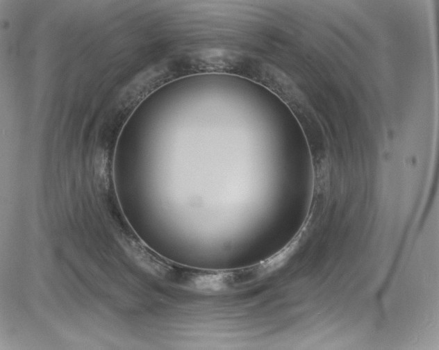 X0000085080178200703051443