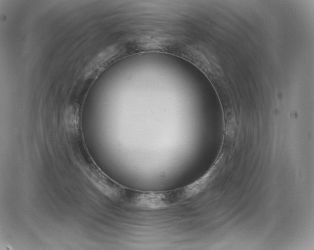 X0000085080179200703051443