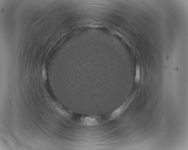 X0000085080180200703051443