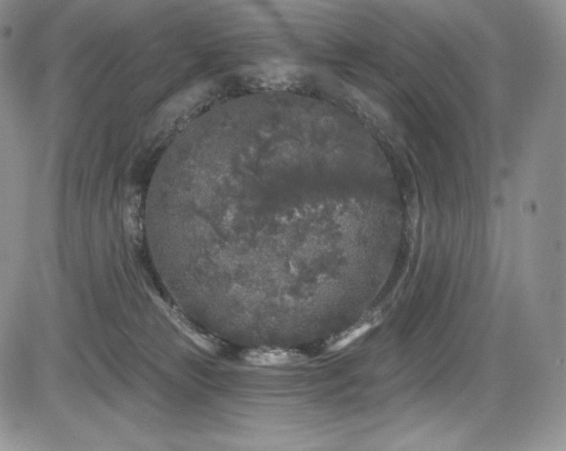 X0000085080181200703051443