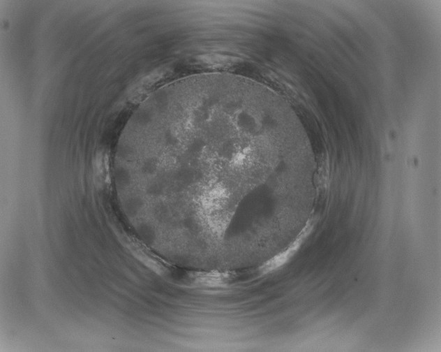 X0000085080182200703051443