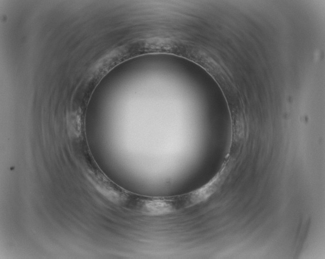 X0000085080183200703051443