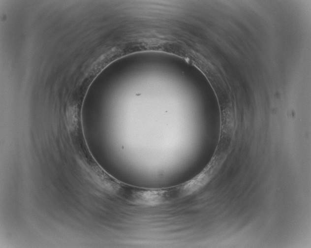 X0000085080184200703051443