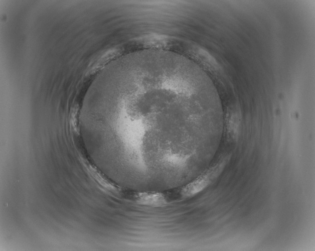 X0000085080185200703051443