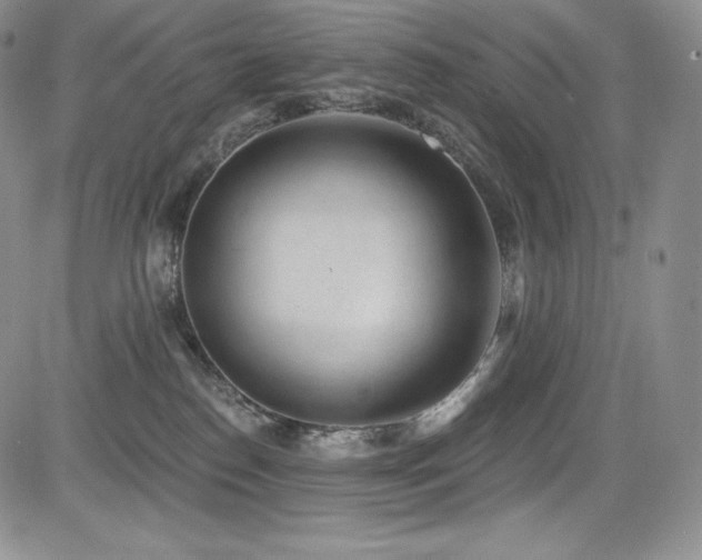 X0000085080186200703051443