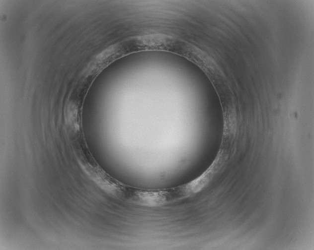 X0000085080187200703051443