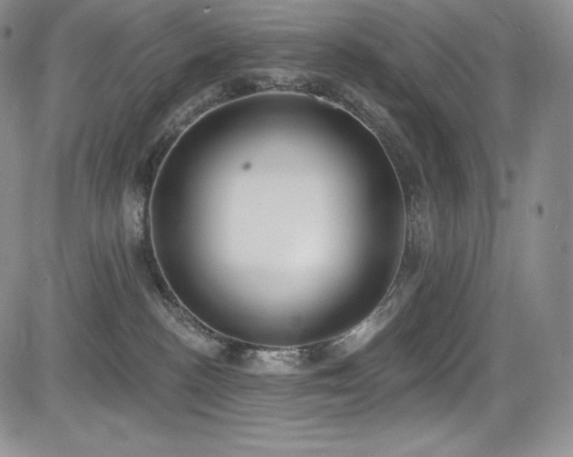 X0000085080188200703051443