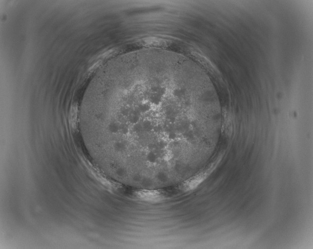 X0000085080189200703051443