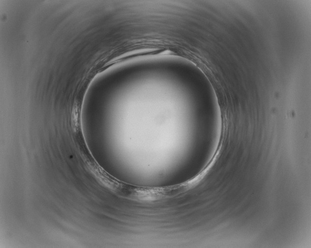 X0000085080190200703051443