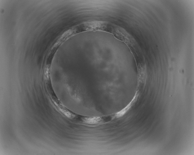 X0000085080191200703051443