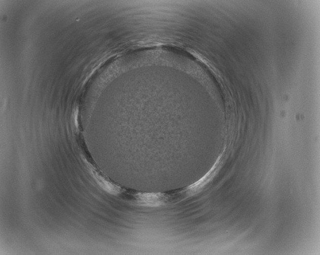 X0000085080192200703051443