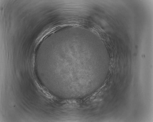 X0000085080194200703051442