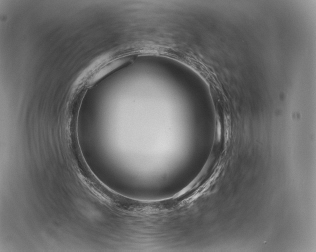 X0000085080197200703051442