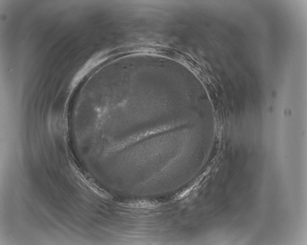 X0000085080198200703051442