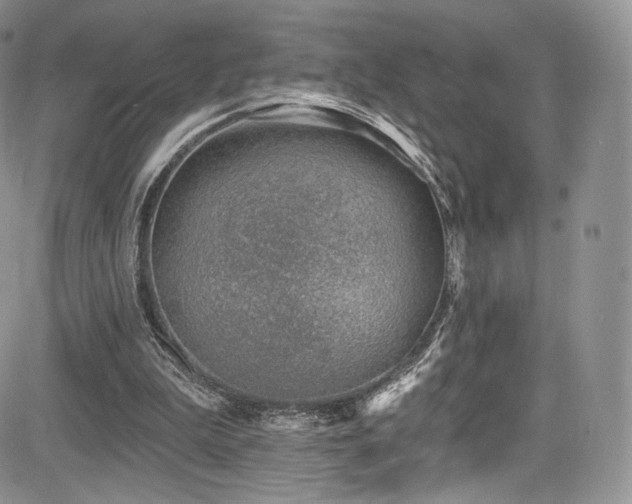 X0000085080199200703051442