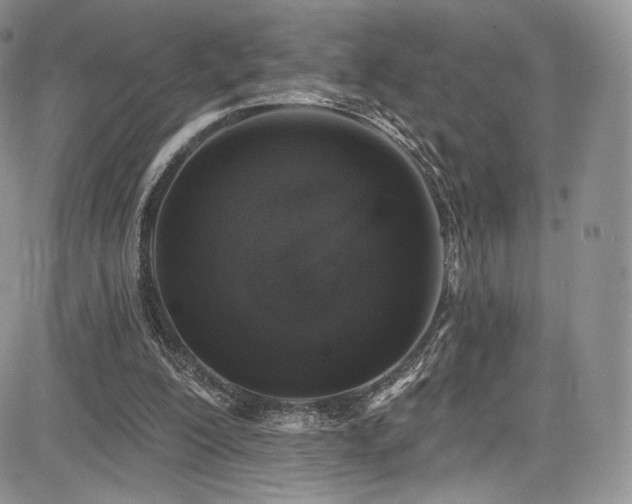 X0000085080200200703051442