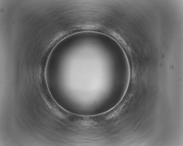 X0000085080201200703051442