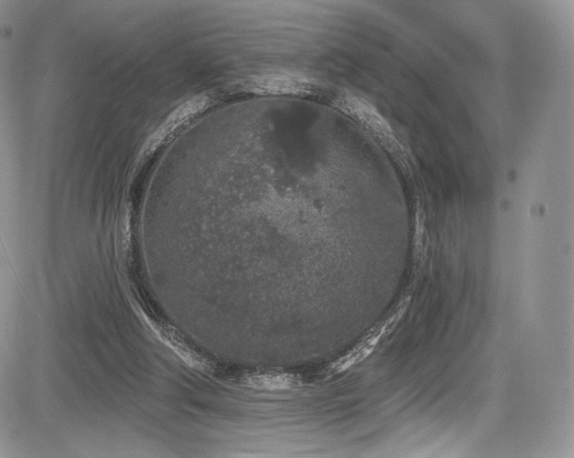 X0000085080202200703051442