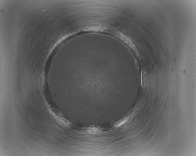 X0000085080204200703051442