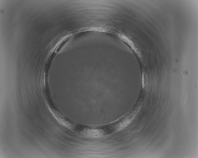 X0000085080205200703051442