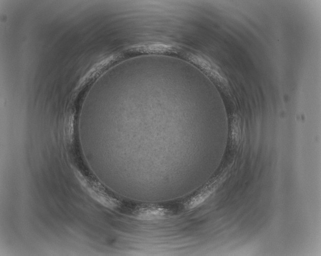 X0000085080206200703051442