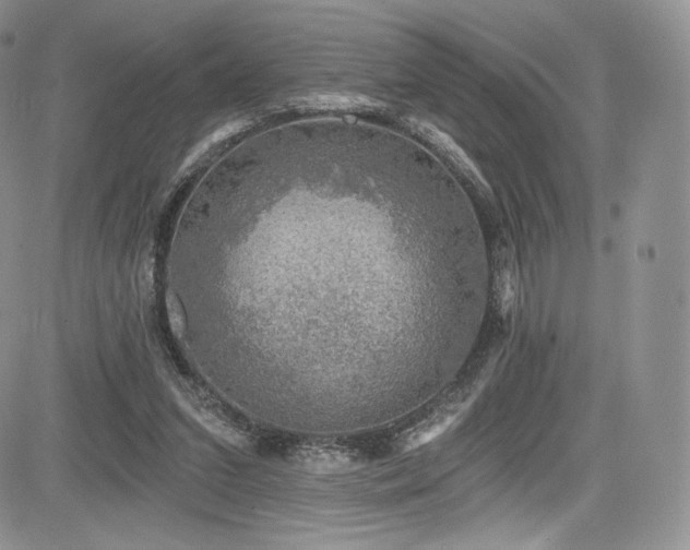 X0000085080207200703051442