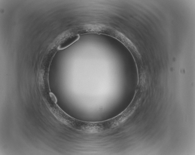 X0000085080209200703051442