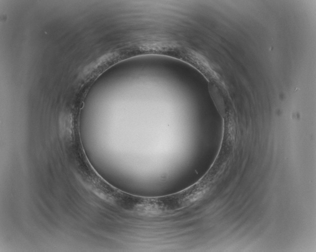 X0000085080211200703051442