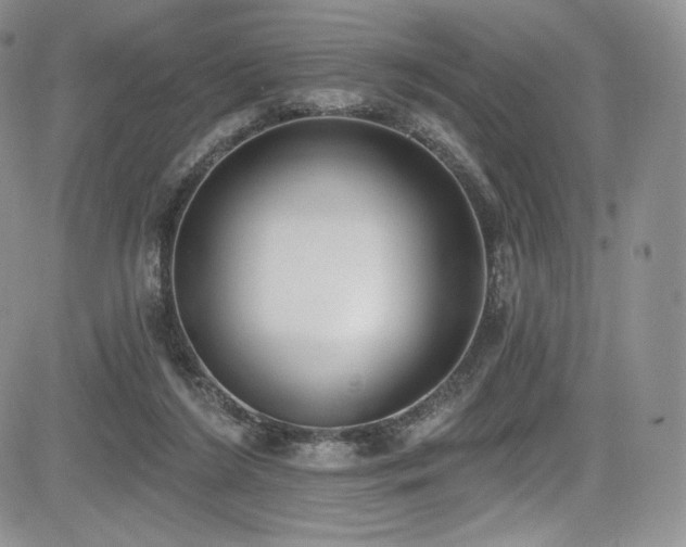 X0000085080212200703051442